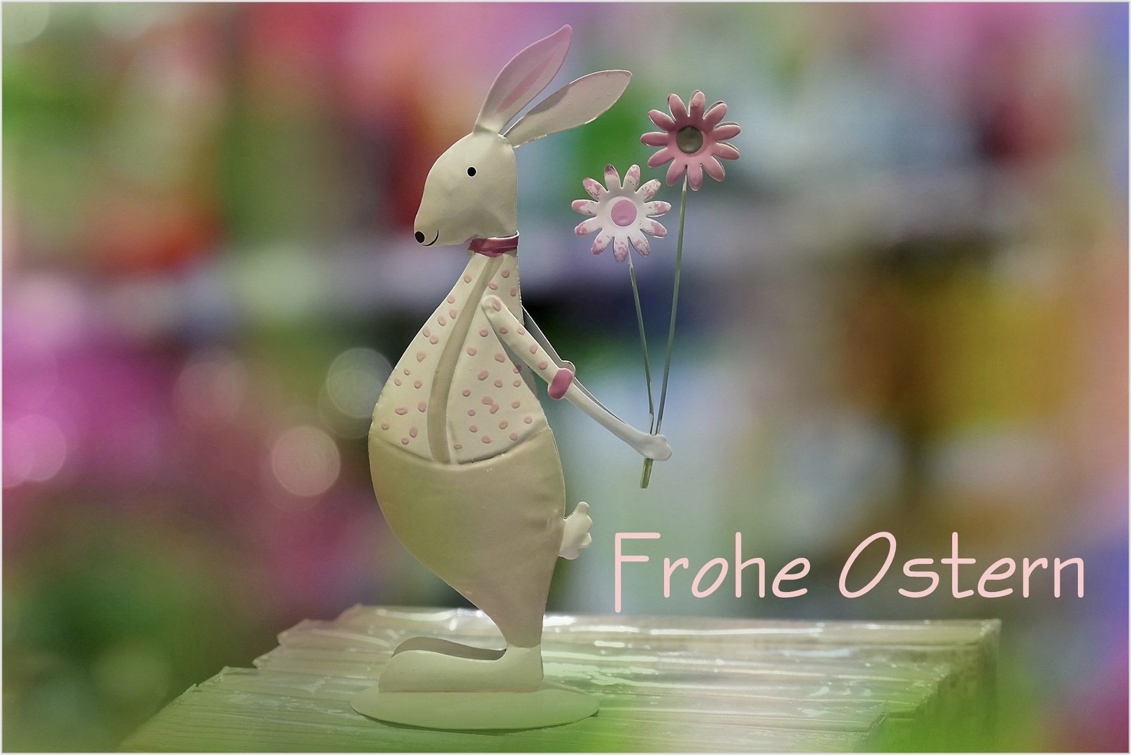 Bild 03.04.23 um 17.04